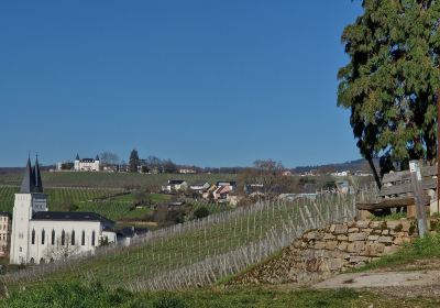 Weingut Schloss Vollrads