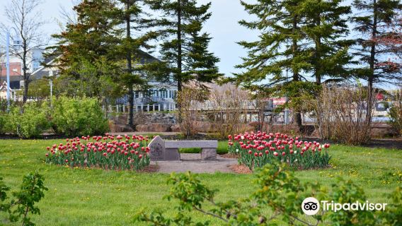 Confederation Landing Park