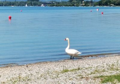 Strandbad Mettnau