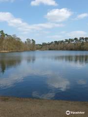 Black Park Country Park