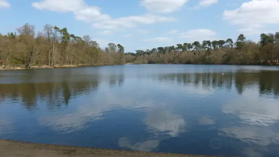 Black Park Country Park