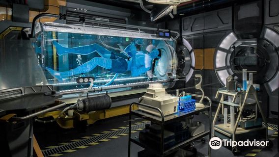 Avatar Flight of Passage