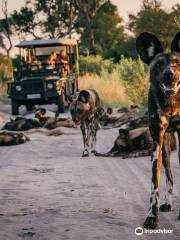 Okavango Delta