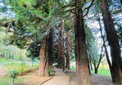 クアルト・センテナリオ公園