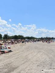 Woodlawn Beach State Park