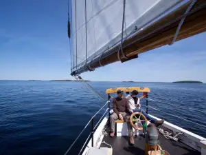 Schooner Surprise