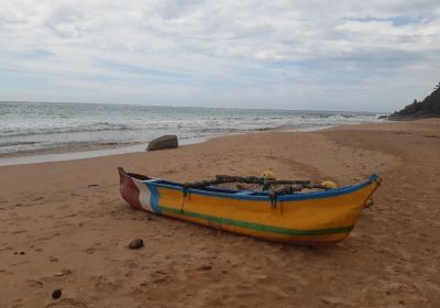 Kosgoda Turtle Conservation and Research Centre