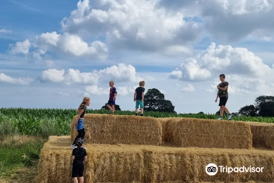 North Norfolk Wizard Maze and Play