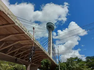 Estaiada Bridge