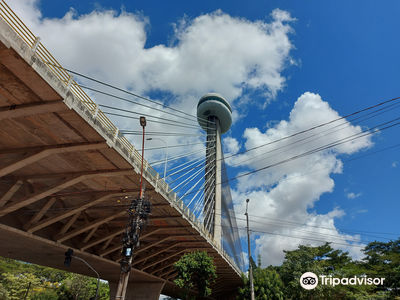 Estaiada Bridge