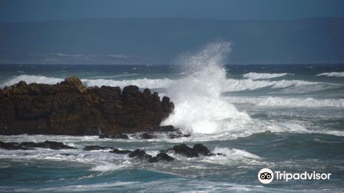 Voëlklip Beach