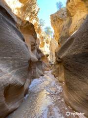 Willis Creek Slot Canyon trailhead