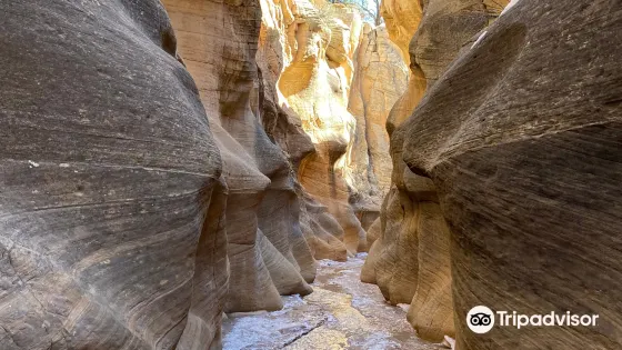 Willis Creek Slot Canyon