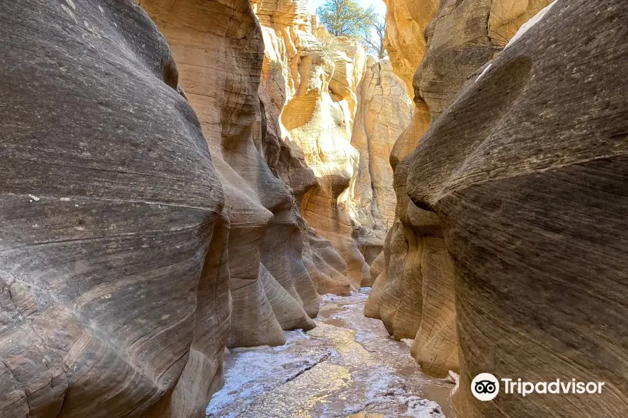 Willis Creek Slot Canyon trailhead