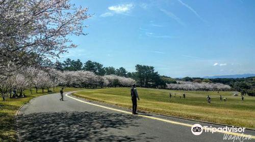 Yoshino Park kagoshima