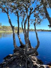 Lake Ainsworth