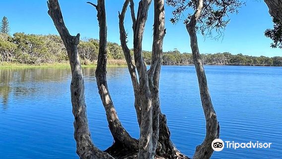Ballina
