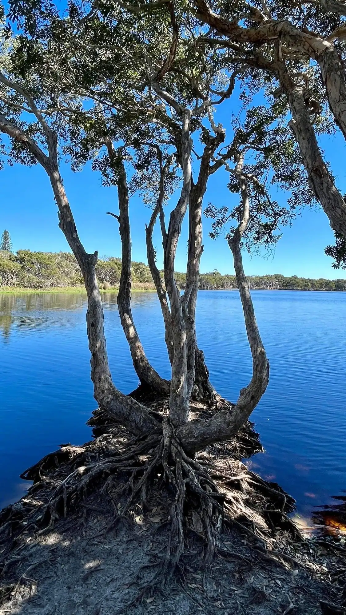 Hotels near Lake Ainsworth
