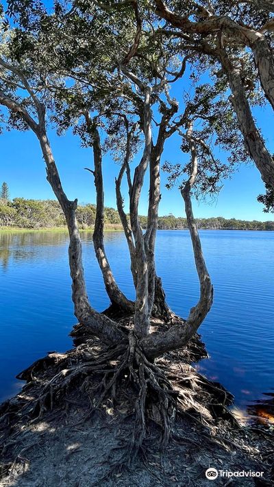 Lake Ainsworth
