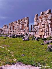 Apamea