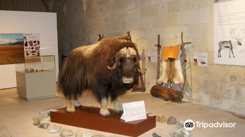Museum of Prehistory of Grand Pressigny