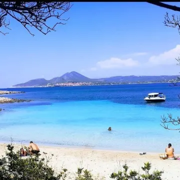 皮洛斯-內斯託拉