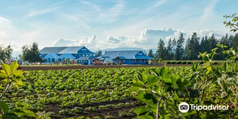 Krause Berry Farms & Estate Winery