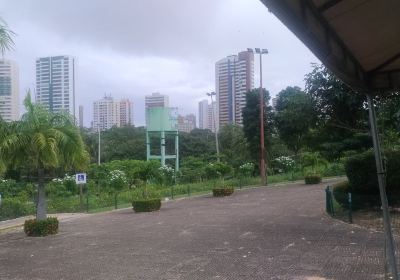 Ecological Park of Cocó