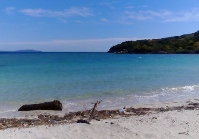 Palmar de Ocoa