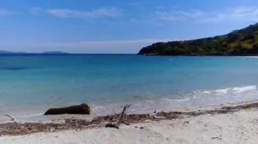 Пальмар де Окоа