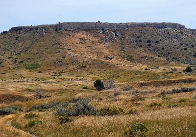 Madison Buffalo Jump State Park