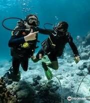 Kon-Tiki Krabi Diving & Snorkeling Center - Krabi