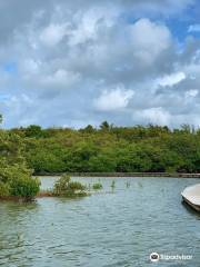 Etang des Salines