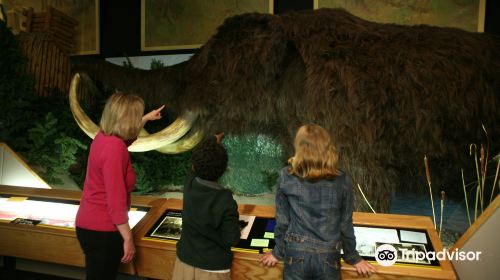 Lakeshore Museum Center