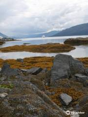 Petroglyph Beach State Historic Site