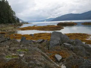 Petroglyph Beach State Historic Site