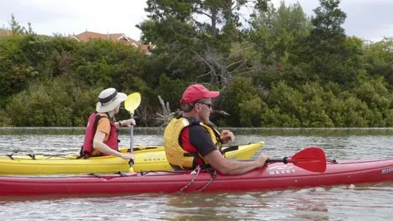 Slippery Creek Kayak Hire