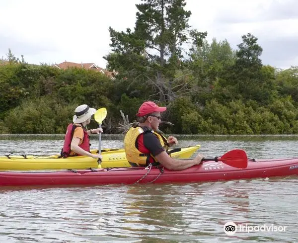 Slippery Creek Kayak Hire