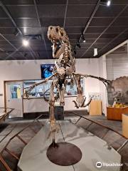 BYU Museum of Paleontology