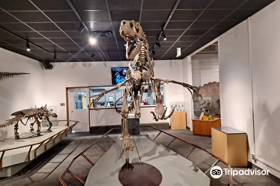 BYU Museum of Paleontology