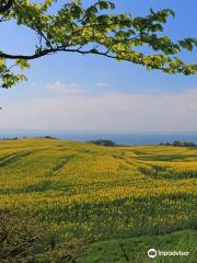 Nationalpark Mols Bjerge