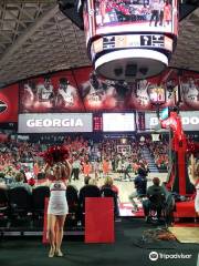 Stegeman Coliseum