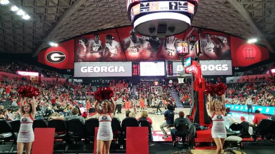 Stegeman Coliseum