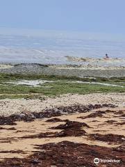 Plage de Courseulles sur Mer