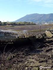 Parque Ecológico de Plaiaundi