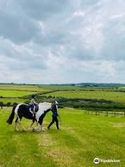 Causeway Fun Farm