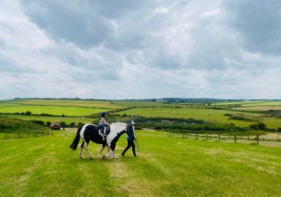 Causeway Fun Farm