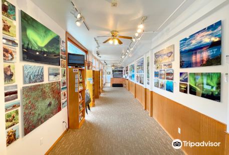 BearHead Photography Gallery-Skagway