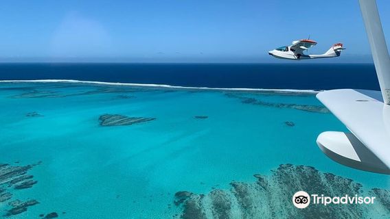 Air Paradise