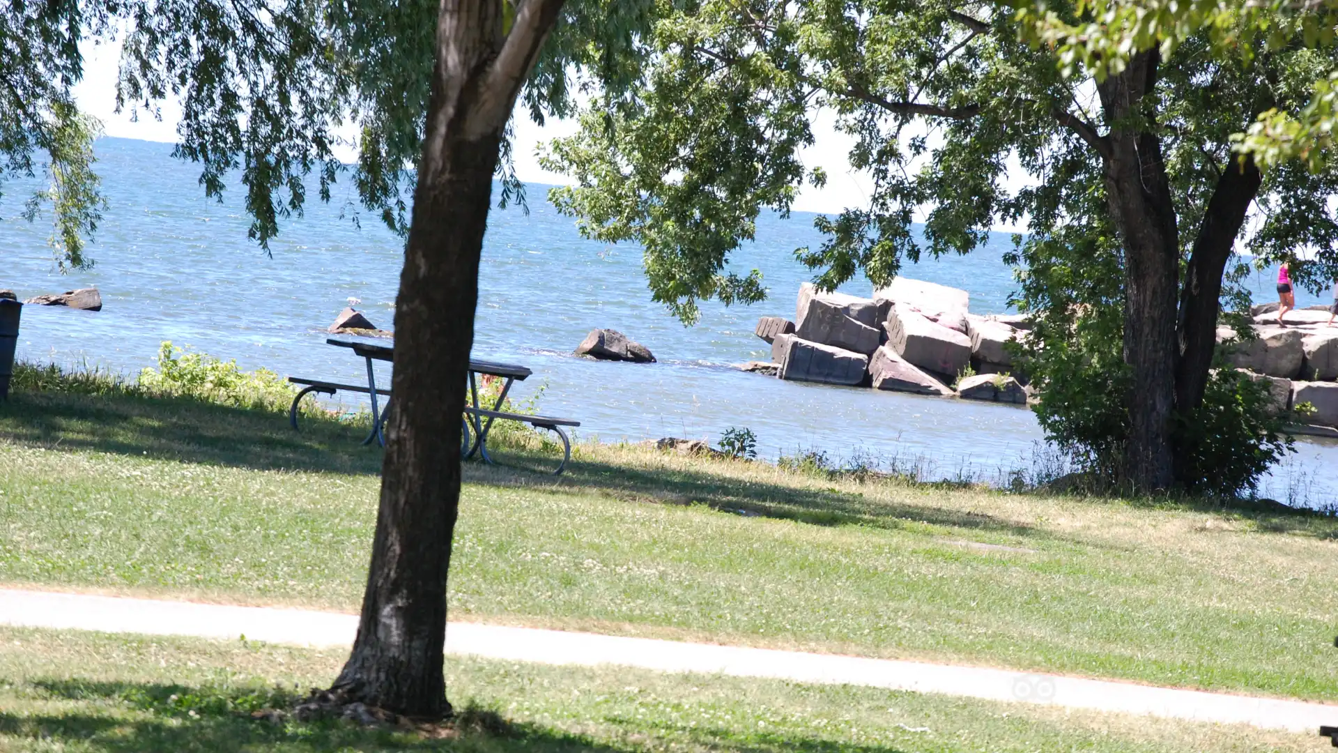 Hotels near Edgewater Marina
